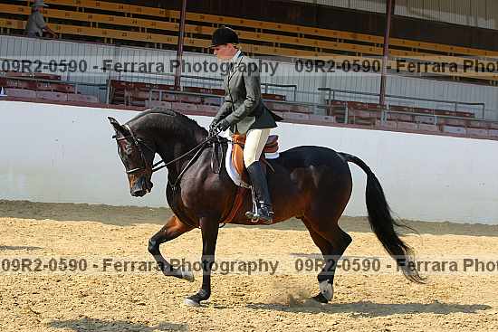 Proof 09r2-0590
