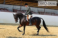 09r2-0590 proof