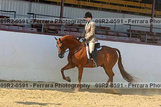 Proof 09r2-0591