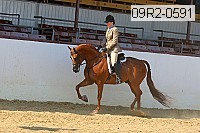 09r2-0591 proof