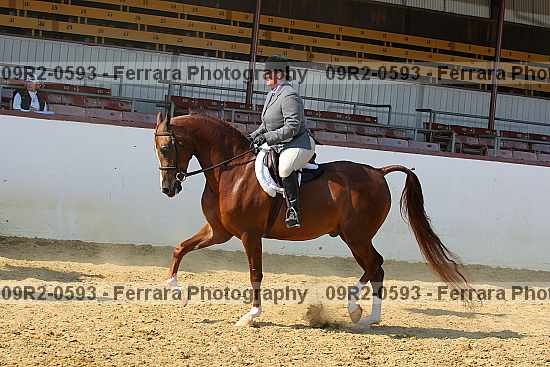 Proof 09r2-0593
