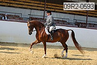 09r2-0593 proof