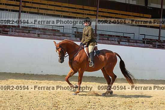 Proof 09r2-0594