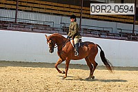 09r2-0594 proof