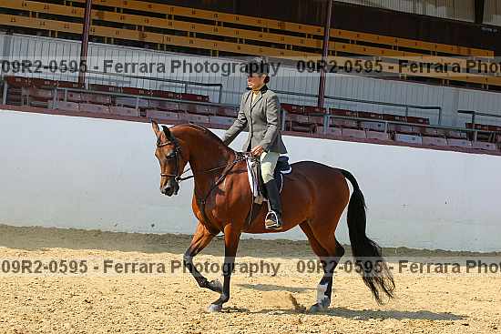 Proof 09r2-0595