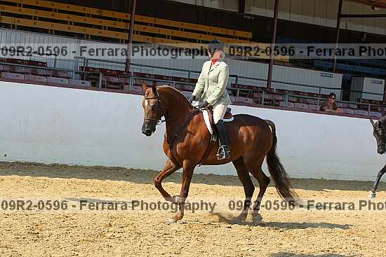 Proof 09r2-0596