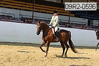 09r2-0596 proof
