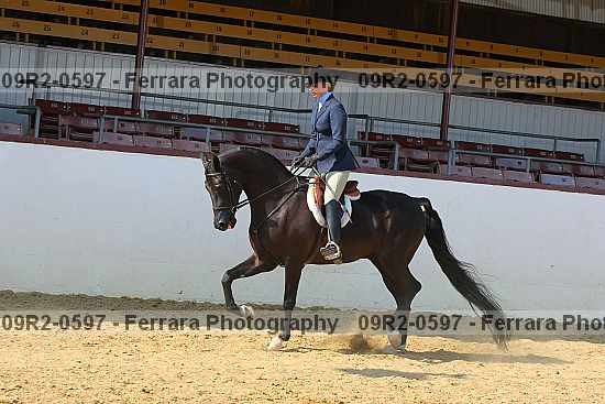 Proof 09r2-0597