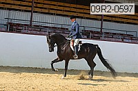 09r2-0597 proof