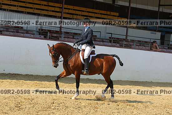 Proof 09r2-0598