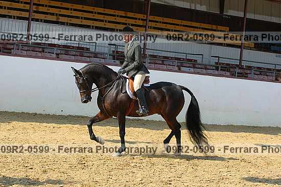 Proof 09r2-0599