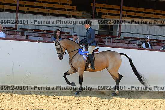 Proof 09r2-0601