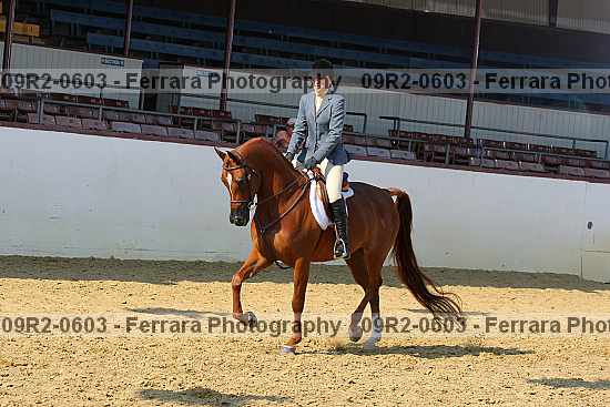 Proof 09r2-0603