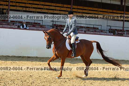 Proof 09r2-0604