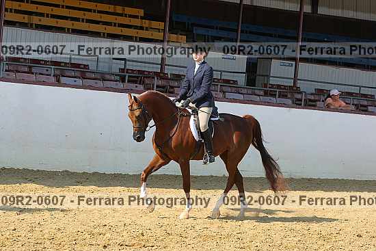 Proof 09r2-0607