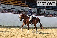09r2-0607 proof