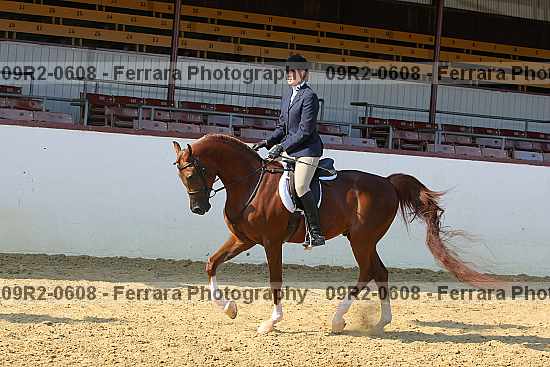 Proof 09r2-0608