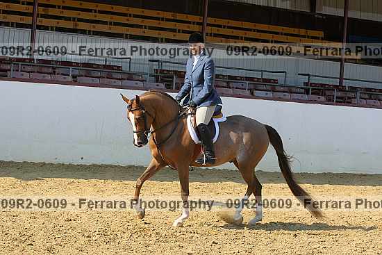 Proof 09r2-0609