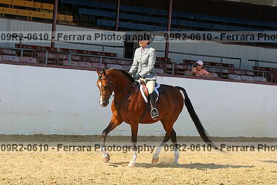Proof 09r2-0610