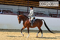 09r2-0611 proof