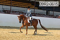 09r2-0615 proof