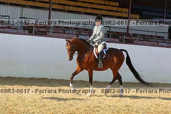 Proof 09r2-0617
