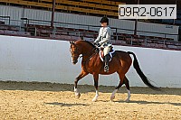 09r2-0617 proof