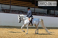 09r2-0618 proof