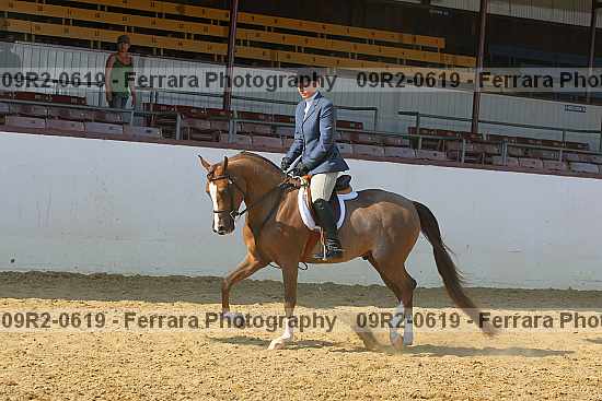 Proof 09r2-0619