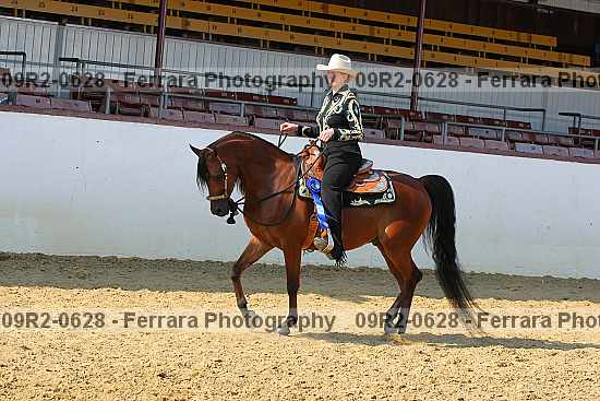Proof 09r2-0628