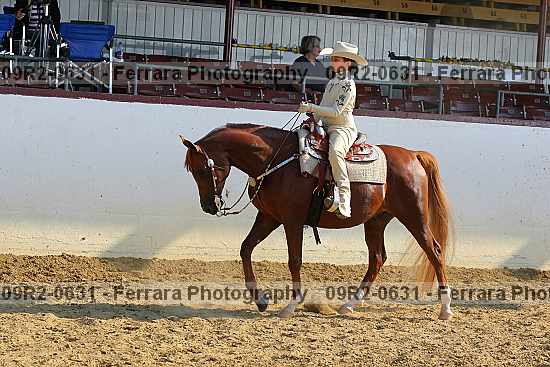 Proof 09r2-0631