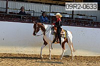 09r2-0633 proof