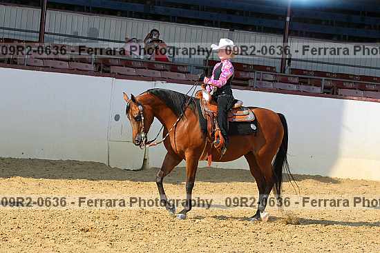 Proof 09r2-0636