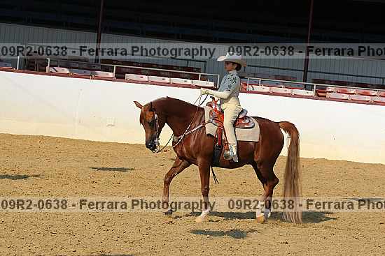 Proof 09r2-0638
