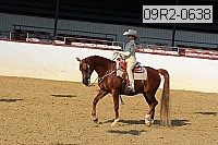09r2-0638 proof