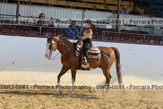 Proof 09r2-0641