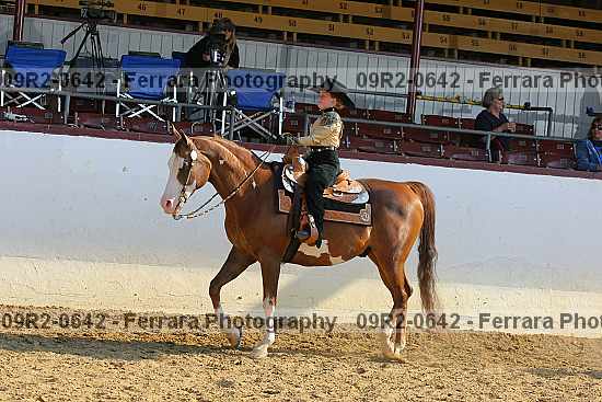 Proof 09r2-0642