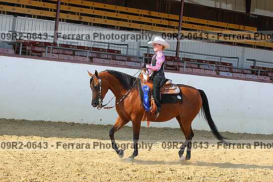 Proof 09r2-0643