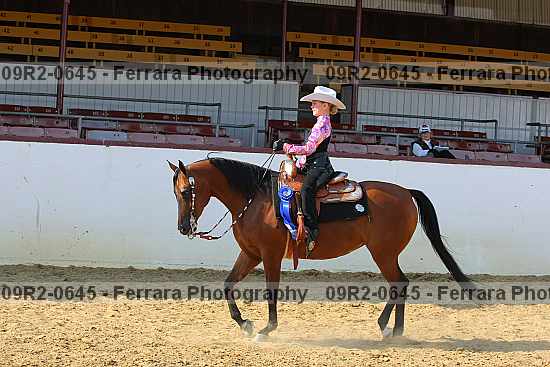 Proof 09r2-0645