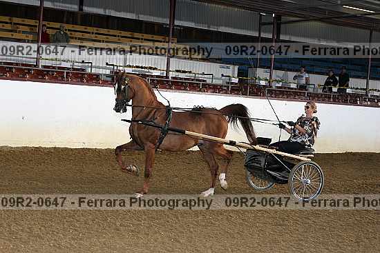 Proof 09r2-0647
