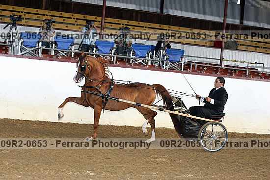 Proof 09r2-0653