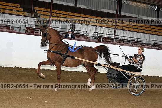 Proof 09r2-0654