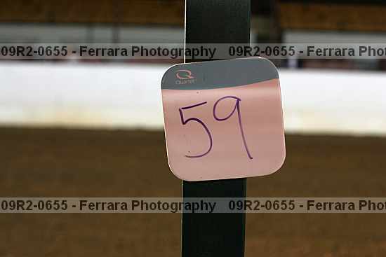 Proof 09r2-0655