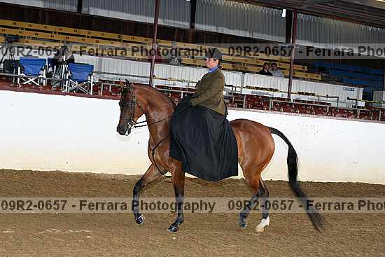 Proof 09r2-0657
