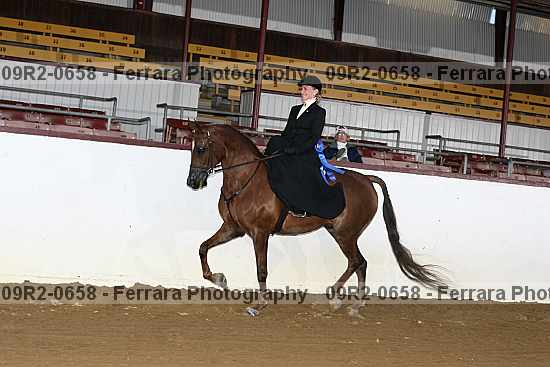 Proof 09r2-0658