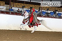 09r2-0660 proof