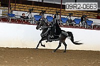 09r2-0663 proof