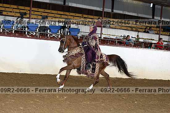 Proof 09r2-0666