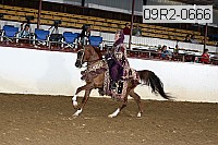 09r2-0666 proof