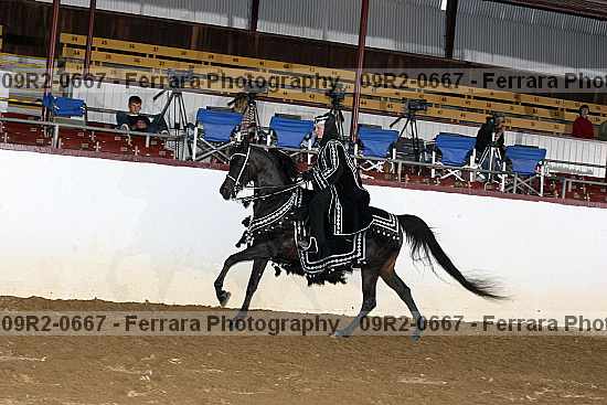 Proof 09r2-0667